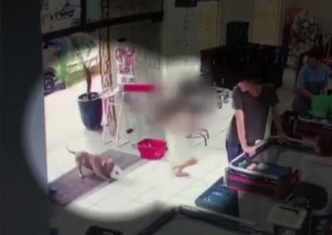 Vídeo mostra criança sendo atacada por pitbull dentro de mercado