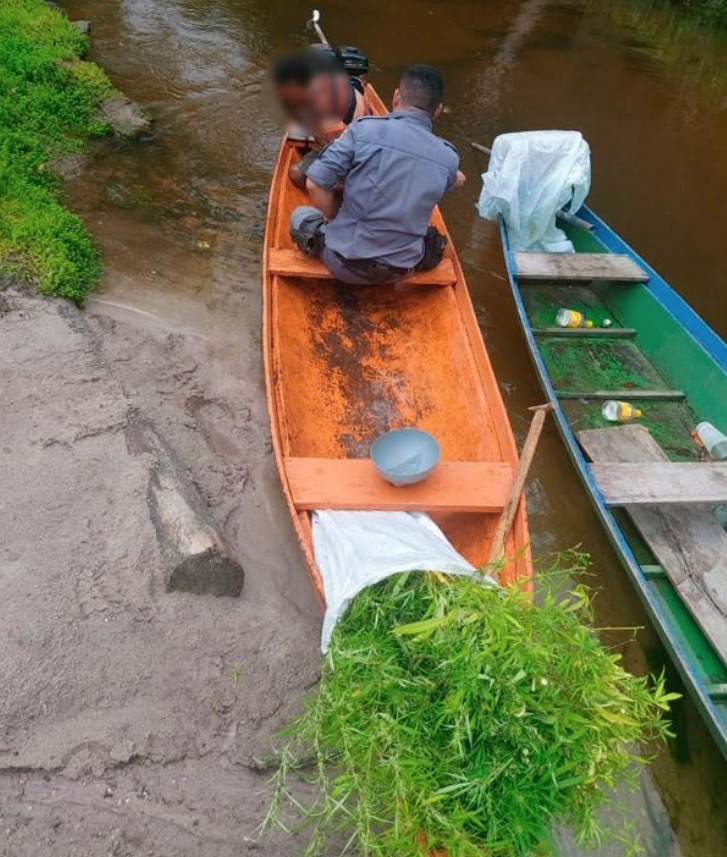 Homem é preso por plantio de maconha no Amazonas
