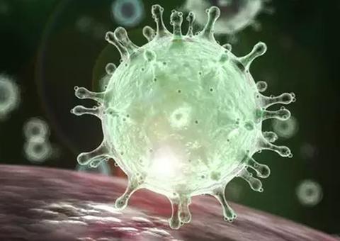 Reunião com setores econômicos trata da prevenção ao coronavírus em Manaus