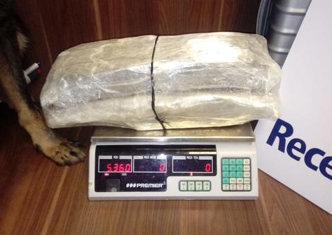 Receita Federal apreende R$ 1.3 milhão em mercadorias e 44 kg em drogas em Manaus 