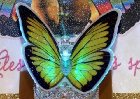 Carnaval 2020: Médicos alertam para uso de glitter na vagina; entenda