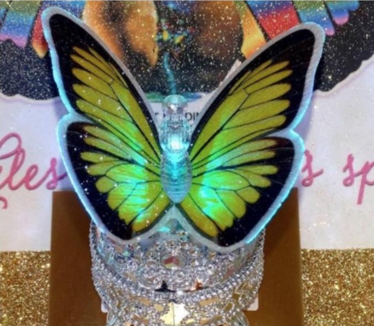 Carnaval 2020: Médicos alertam para uso de glitter na vagina; entenda