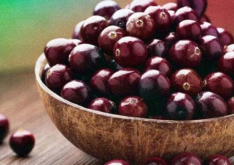 Cinco plantas amazônicas devem entrar para lista de fitoterápicos do SUS até 2022