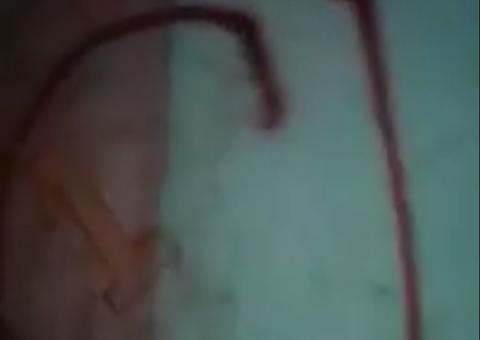 Com tiros e ameaças, CV toca terror em tomada de território no Amazonas; Veja vídeo