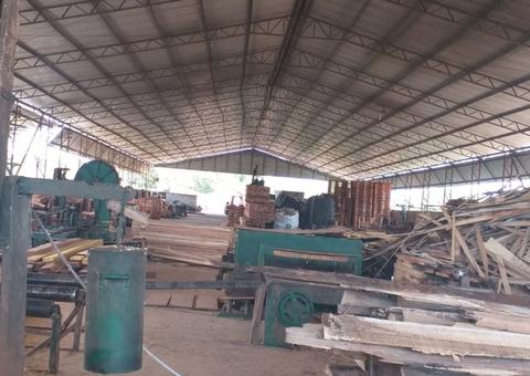 Madeireira é interditada e multada em R$ 300 mil no Amazonas 