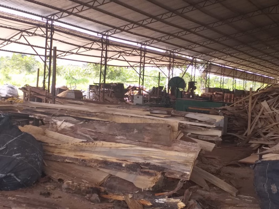 Madeireira é interditada e multada em R$ 300 mil no Amazonas 