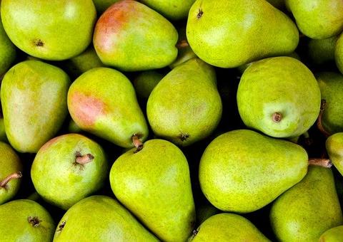 Pera fortalece os ossos e previne câncer; saiba mais