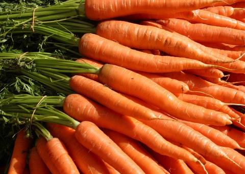 Embrapa cria cenoura que dispensa agrotóxico