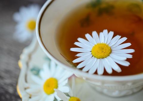 Bebidas que ajudam a emagrecer durante o sono; Descubra