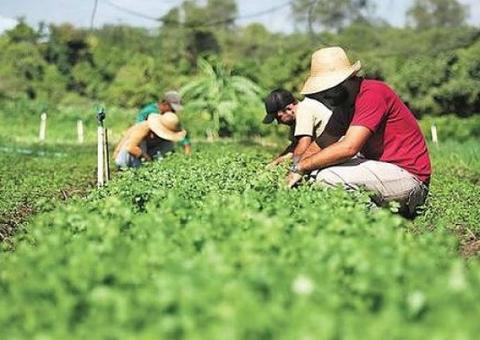 Curso ‘Caseiro Rural’ será ministrado na próxima semana, em Manaus 