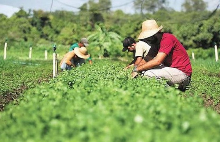 Curso ‘Caseiro Rural’ será ministrado na próxima semana, em Manaus 