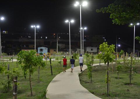 Arborização de Manaus atinge marca de 260 mil mudas plantadas