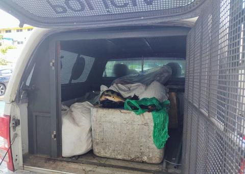 Pescado ilegal e ouro avaliado em R$ 360 mil são apreendidos em embarcação de Manaus 