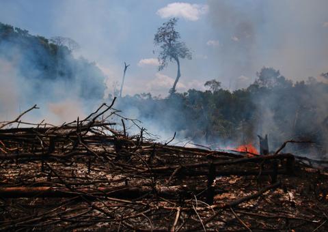 Força-tarefa Amazônia registra R$ 580 milhões em danos ambientais
