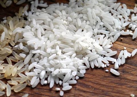 Governo reajusta preços mínimos da laranja, trigo e arroz