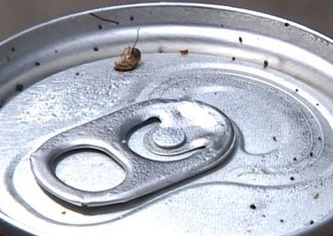 Análise acha 45 mil bactérias e 9 mil fungos em latinha de bebida