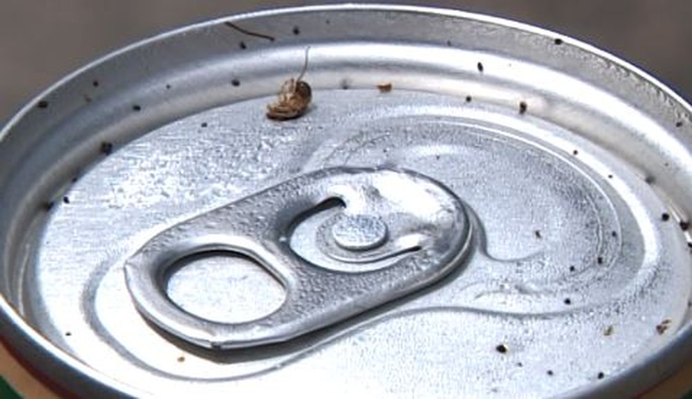 Análise acha 45 mil bactérias e 9 mil fungos em latinha de bebida