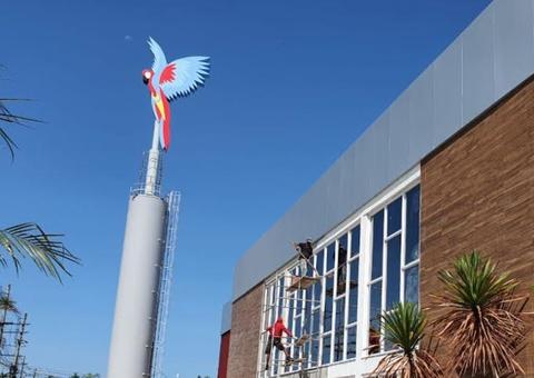 DB abre 100 vagas de emprego em Manaus; veja como se candidatar 