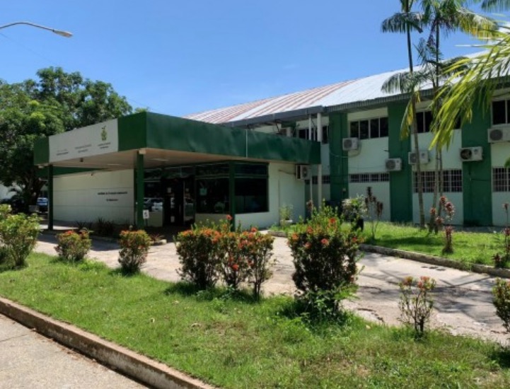 Denúncias e resgates de animais: confira funcionamento do Ipaam durante o feriado