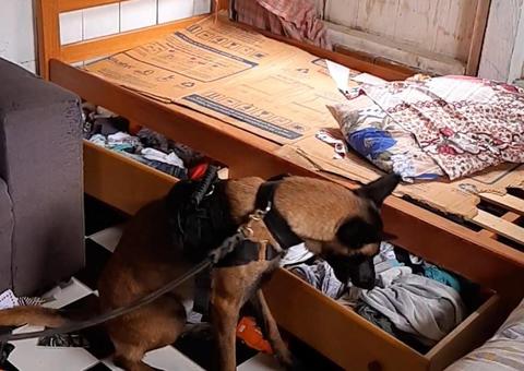 Suspeitos de envolvimento com tráfico de drogas são presos em operação no Amazonas 