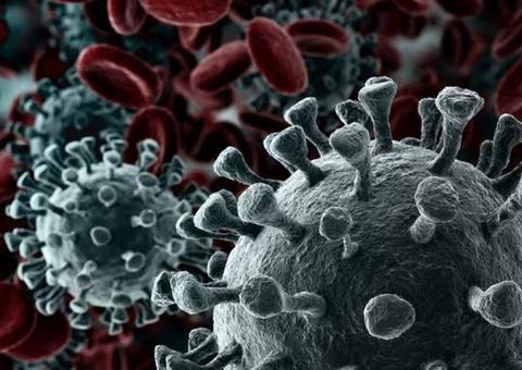 Coronavírus faz Hemoam tomar medidas contra doadores vindos de outros países 