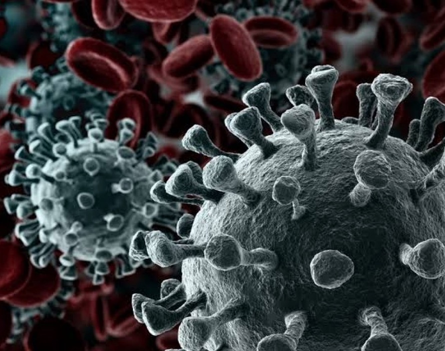 Coronavírus faz Hemoam tomar medidas contra doadores vindos de outros países 