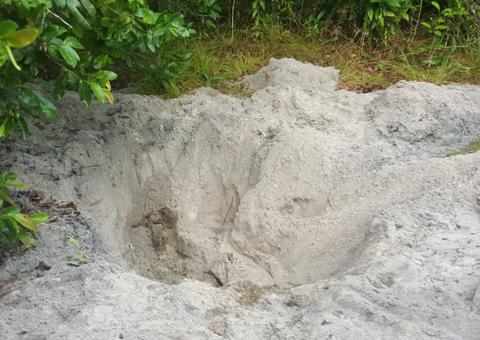 Em Manaus, adolescente decapitado no Monte Horebe foi torturado e teve as orelhas cortadas 