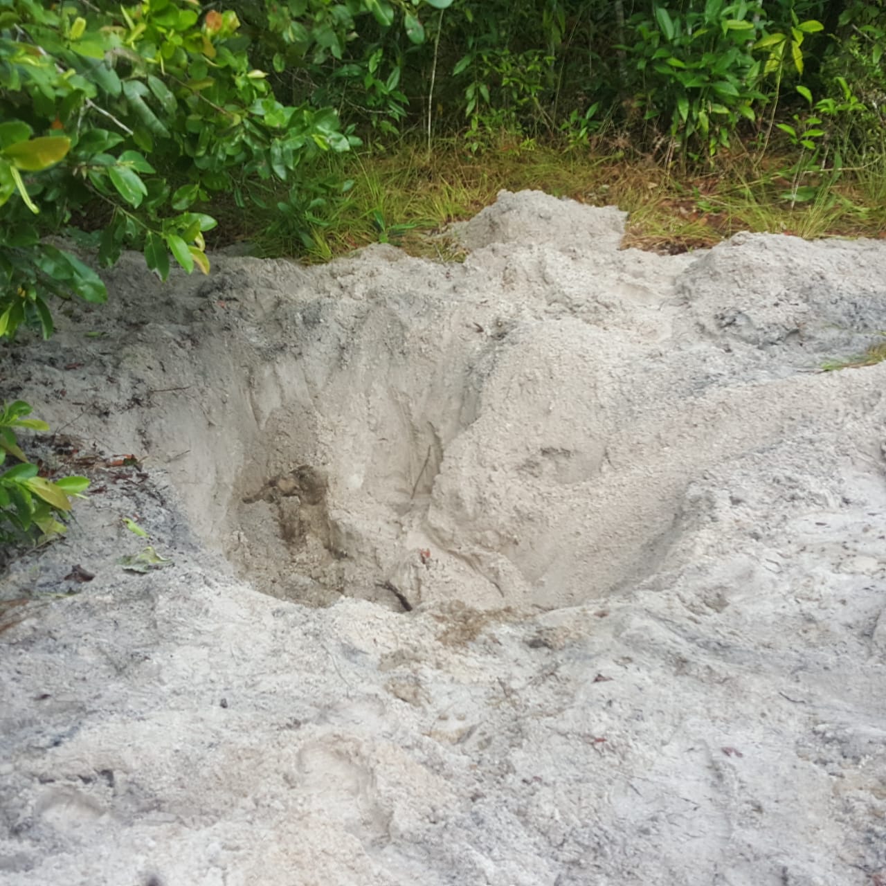 Em Manaus, adolescente decapitado no Monte Horebe foi torturado e teve as orelhas cortadas 