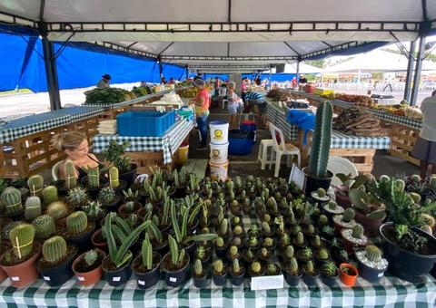 I Feira de Sustentabilidade com produtos naturais abre nesta sexta na Nilton Lins