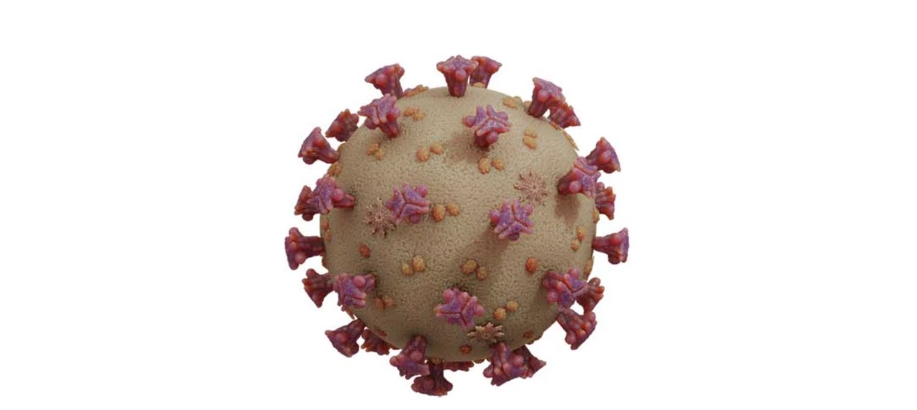 Pesquisadores do Brasil e de Oxford sequenciam genoma do novo coronavírus em apenas 2 dias