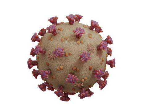 Pesquisadores do Brasil e de Oxford sequenciam genoma do novo coronavírus em apenas 2 dias