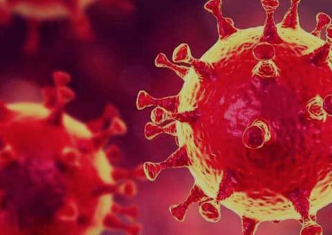 Veja 10 'fake news' sobre métodos caseiros no Brasil que combatem coronavírus 