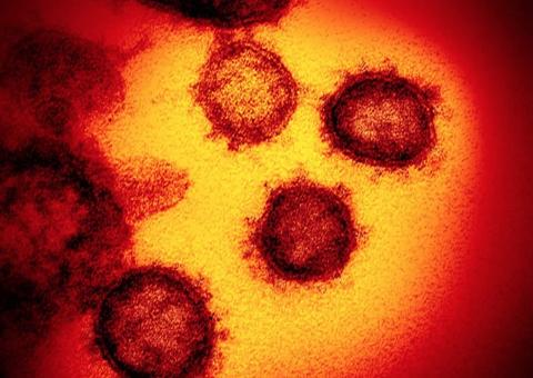 Homem morre internado com suspeita de coronavírus