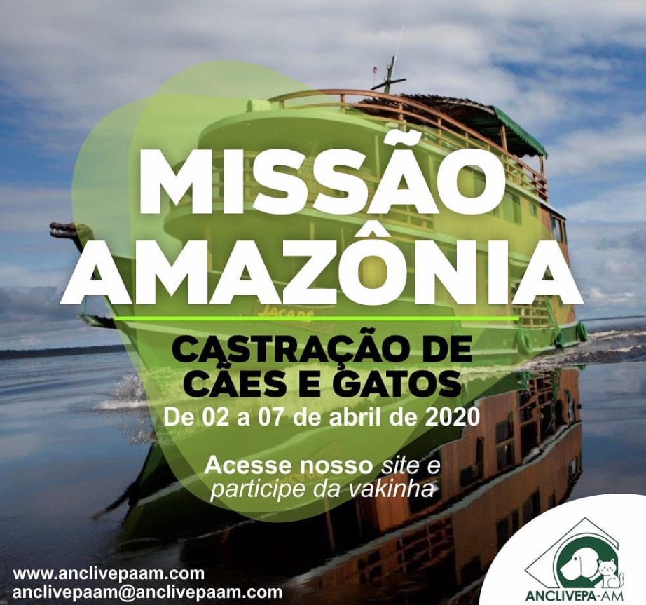 Veterinários realizam mega mutirão de castração de cães e gatos no Amazonas