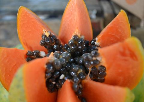 Mamão Papaya maduro melhora sistema imunológico, diz estudo