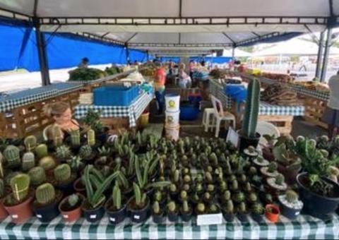 Feira de Sustentabilidade da Nilton Lins acontece nesta sexta-feira em Manaus