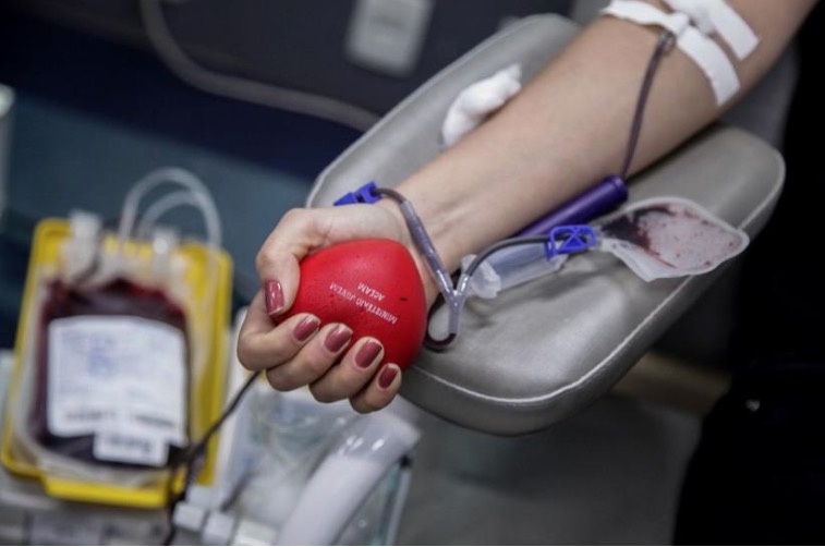 Doadores de sangue tem direito a meia-entrada no Amazonas