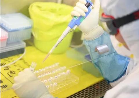 Cientistas chineses descobrem dois tipos principais do novo coronavírus