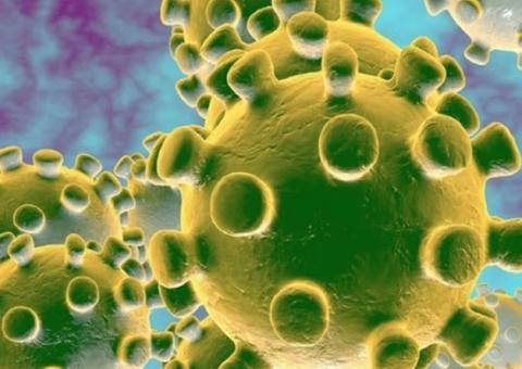 Primeiro caso de coronavírus é confirmado no Nordeste do Brasil