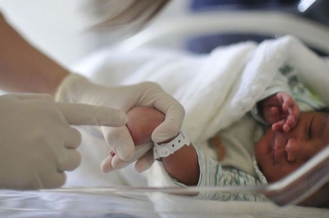 SUS vai ofertar exame de toxoplasmose congênita para recém-nascidos