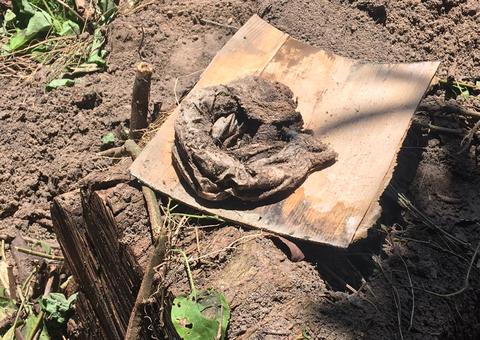 Em Manaus, pedreiros levam susto ao encontrarem ossada durante obra 