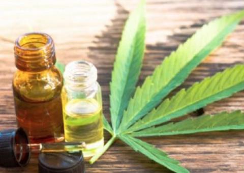 Venda autorizada de produtos derivados da cannabis entra em vigor