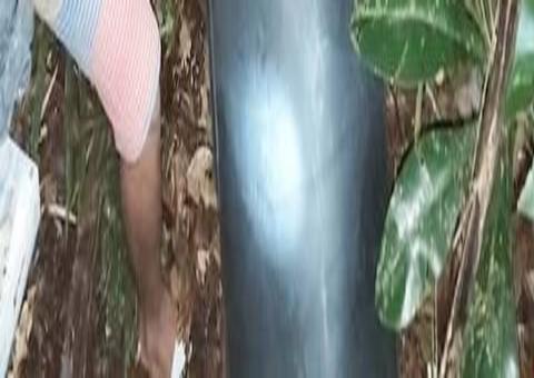 Mulher é esquartejada e tem corpo jogado em máquina de lavar no Amazonas