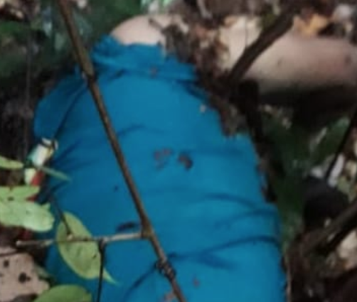 Em Manaus, corpo de homem é encontrado seminu em área de mata 