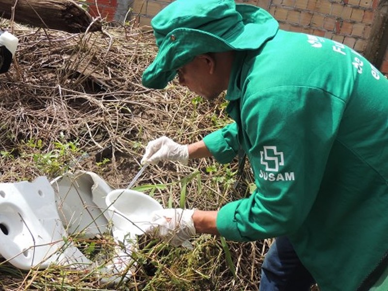 Casos de dengue triplicam no Amazonas neste ano