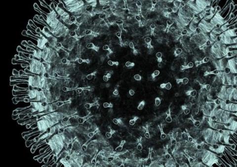 Brasil tem a primeira morte por coronavírus confirmada