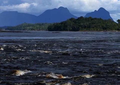 Importação de alimentos trava produção no Amazonas, diz deputado