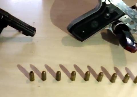 Em Manaus, cães rotweiller faziam 'guarda' de armas em quintal de residência