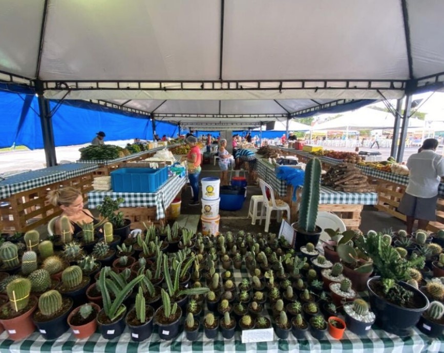 Feiras de Produtos Regionais e Sustentabilidade são suspensas por coronavírus em Manaus