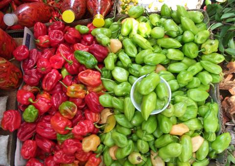 Pimenta de cheiro fortalece sistema imunológico e te preveni de doenças 